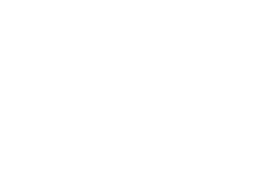 Primelink Staffing Solutions